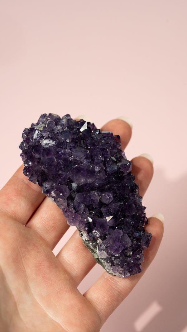 EXTRA QUALITY | Amethyst Cluster