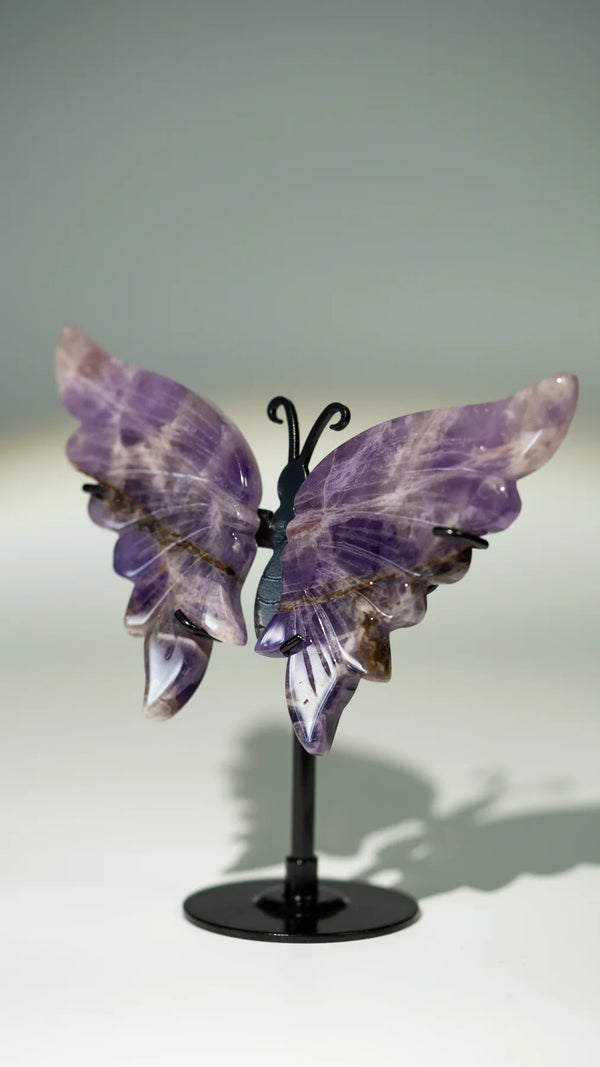 Amethyst Schmetterling