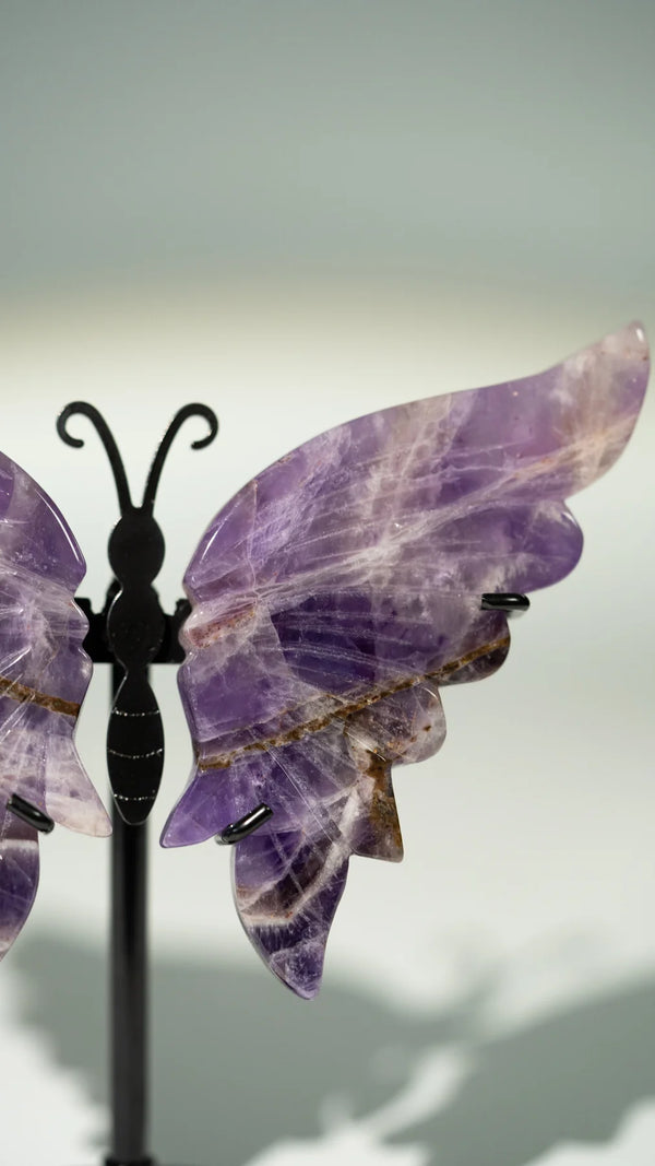 Amethyst Schmetterling