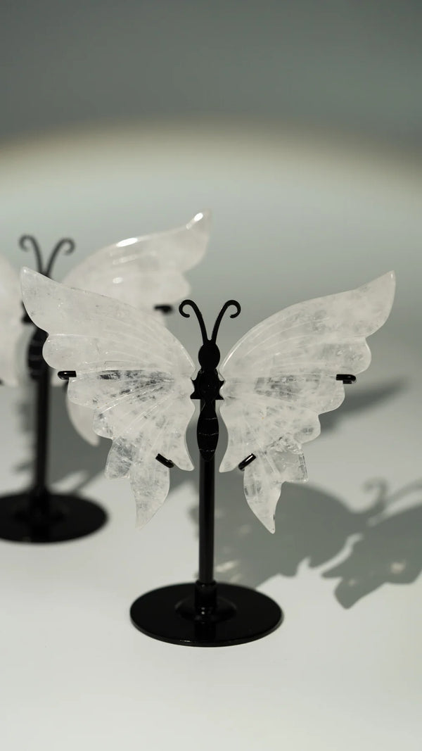 Bergkristall Schmetterling