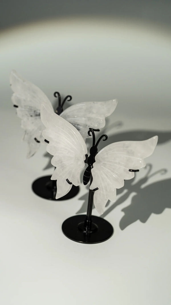 Bergkristall Schmetterling