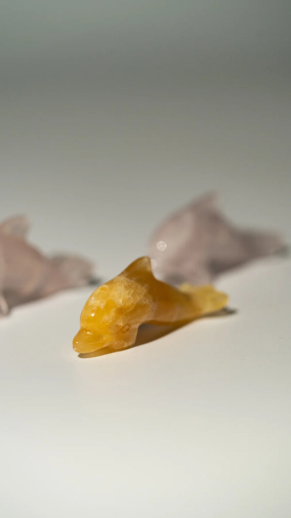Mini Delfine