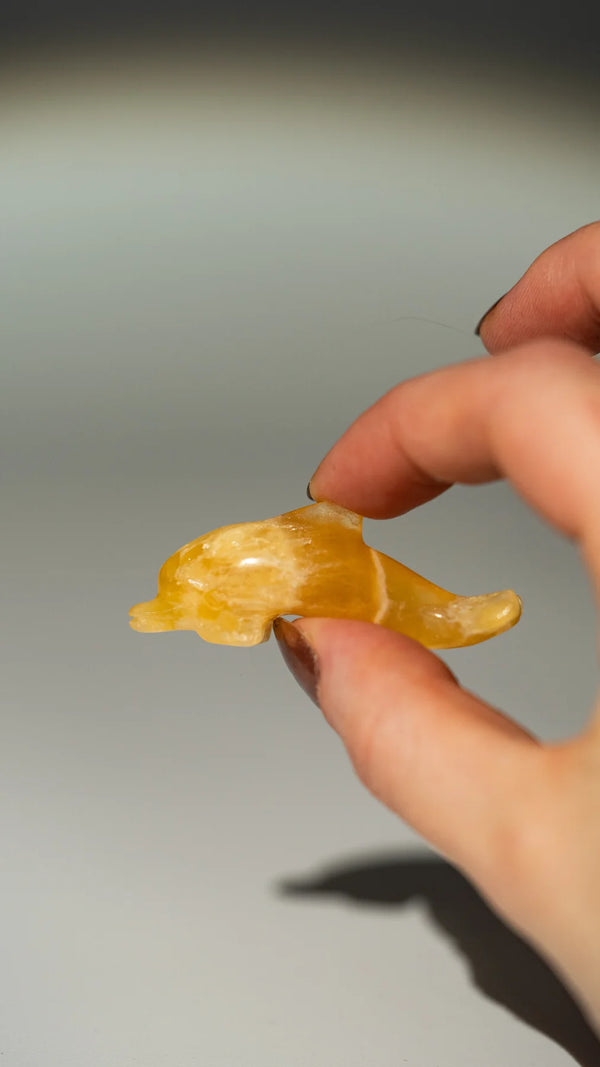 Mini Delfine