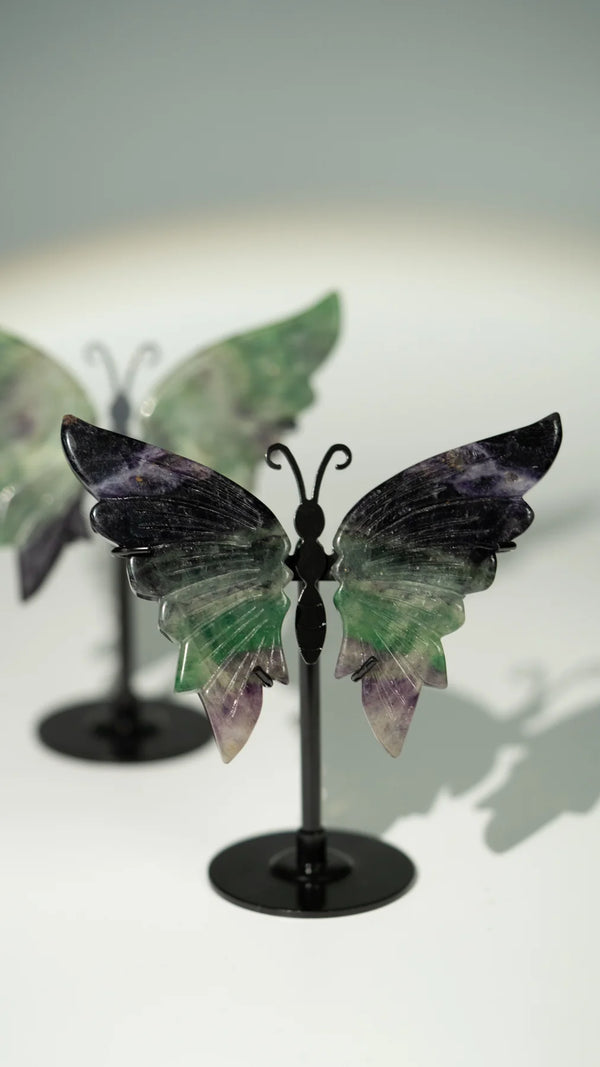 Fluorit Schmetterling
