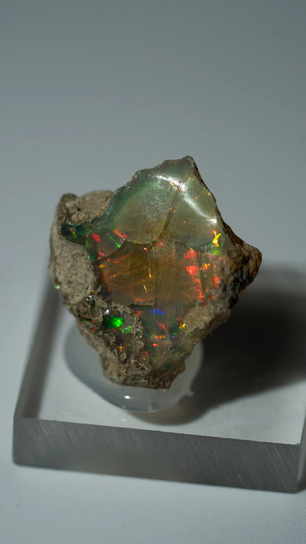 Äthiopischer Opal | SPECIMEN | 18mm