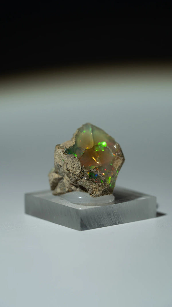 Äthiopischer Opal | SPECIMEN | 18mm