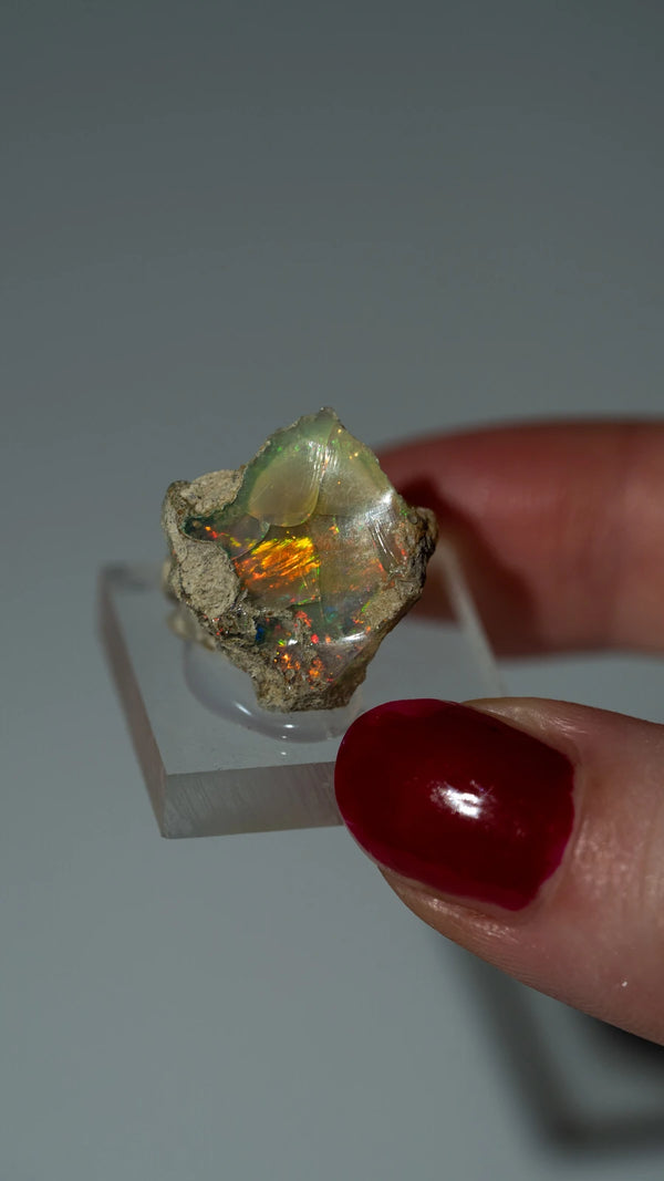 Äthiopischer Opal | SPECIMEN | 18mm