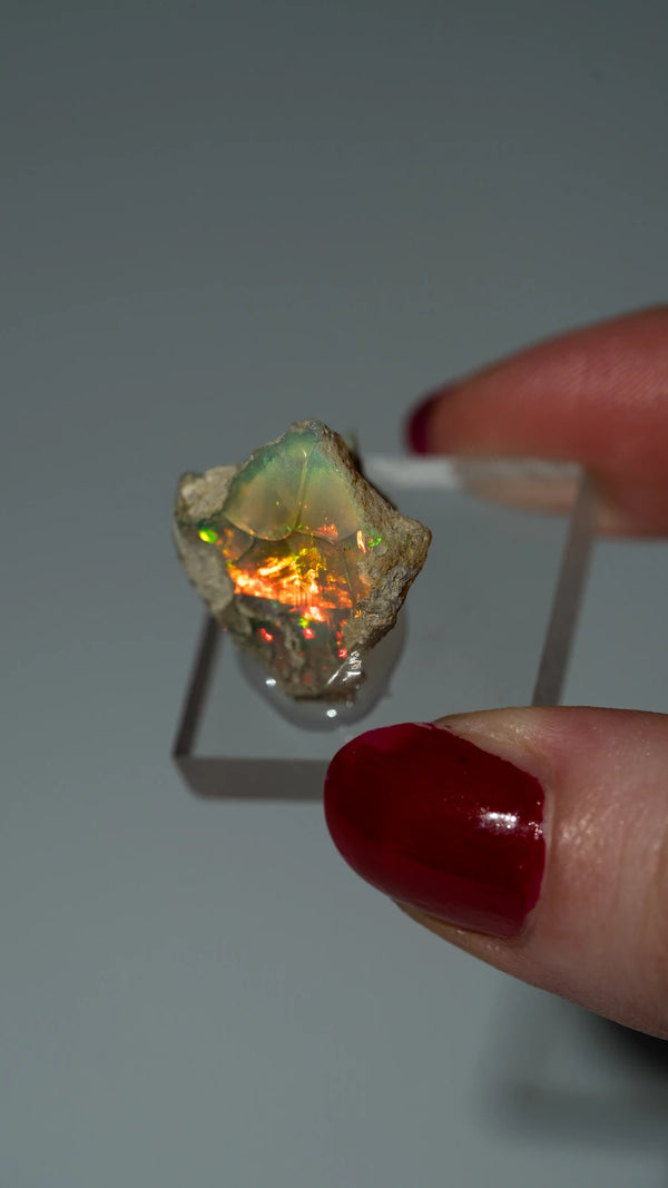 Äthiopischer Opal | SPECIMEN | 18mm