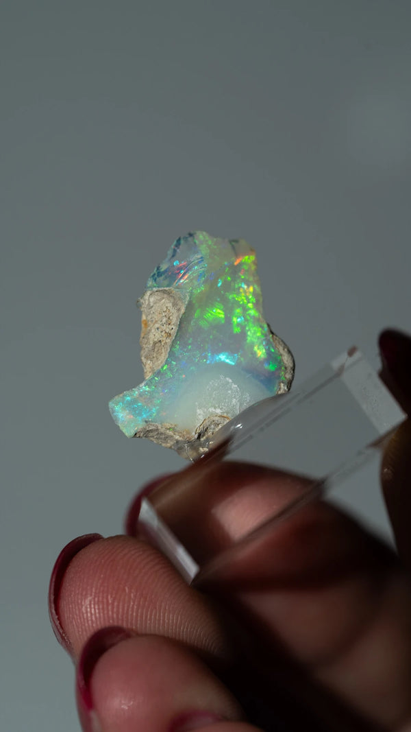 Äthiopischer Opal | SPECIMEN | 17mm