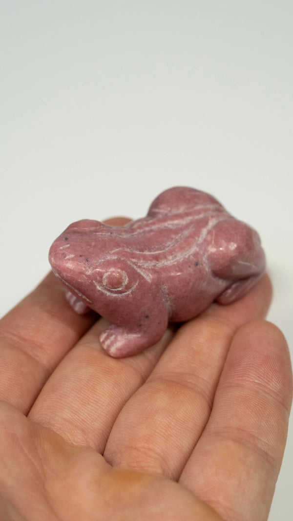 Rhodonit Frosch
