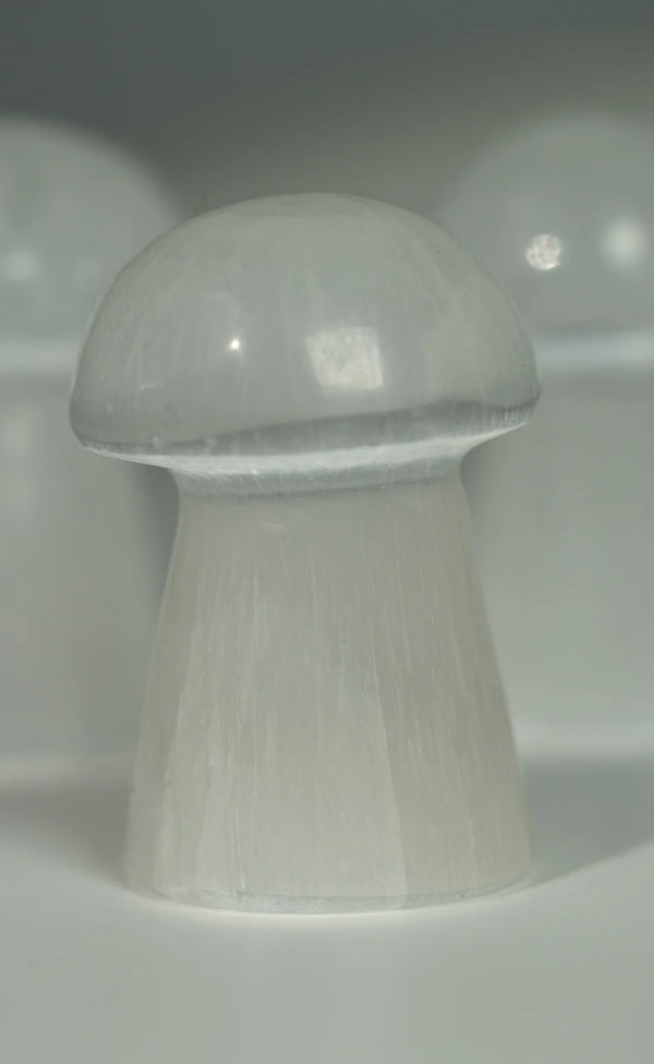 Selenit Pilz