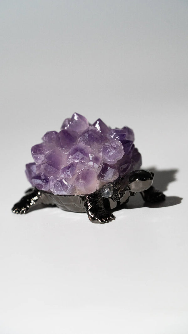 Amethyst Schildkröte