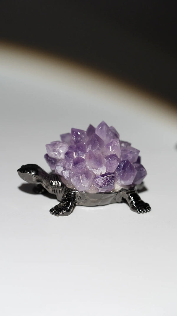 Amethyst Schildkröte