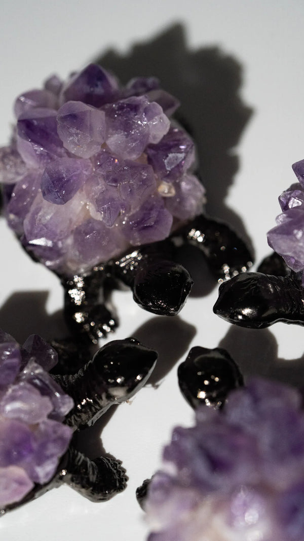 Amethyst Schildkröte