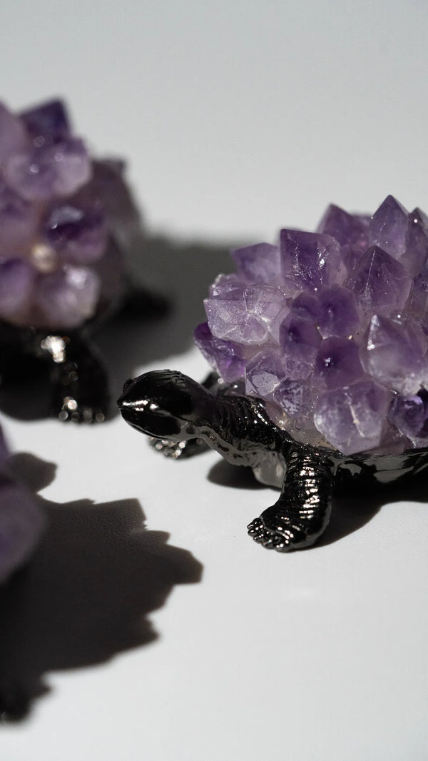 Amethyst Schildkröte