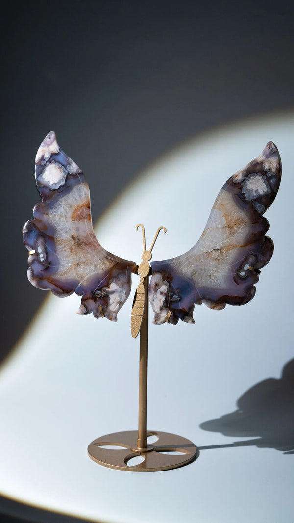Cherry Blossom Schmetterling