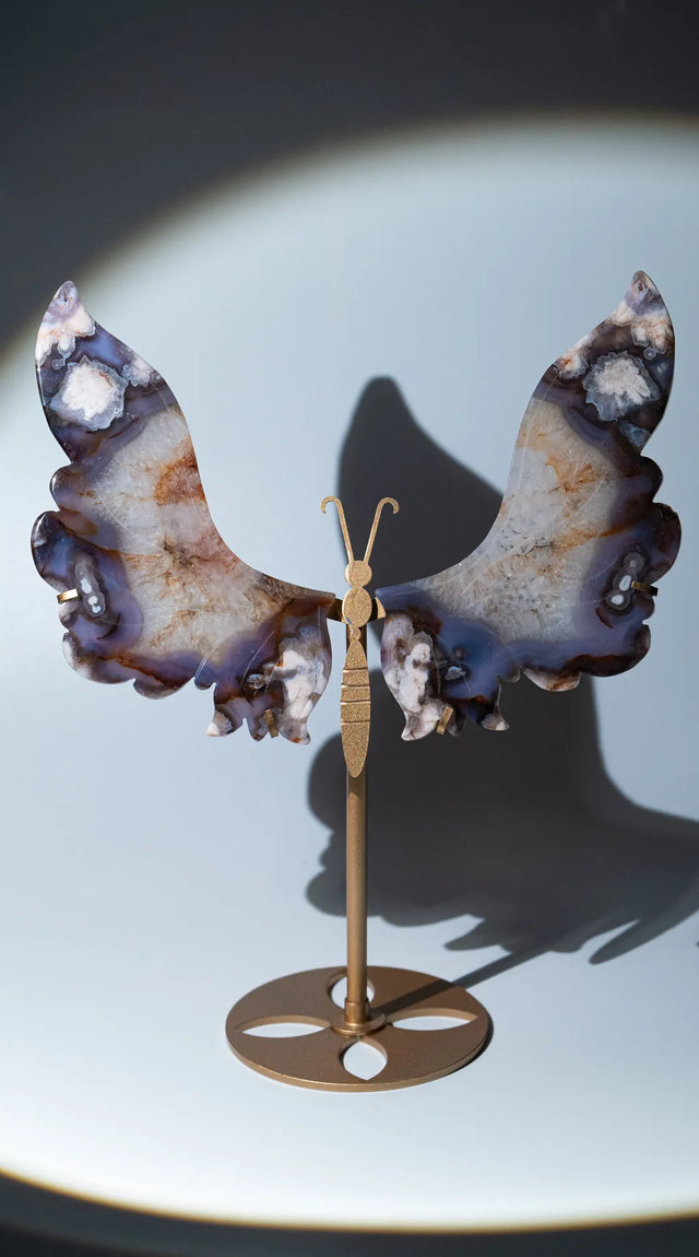 Cherry Blossom Schmetterling