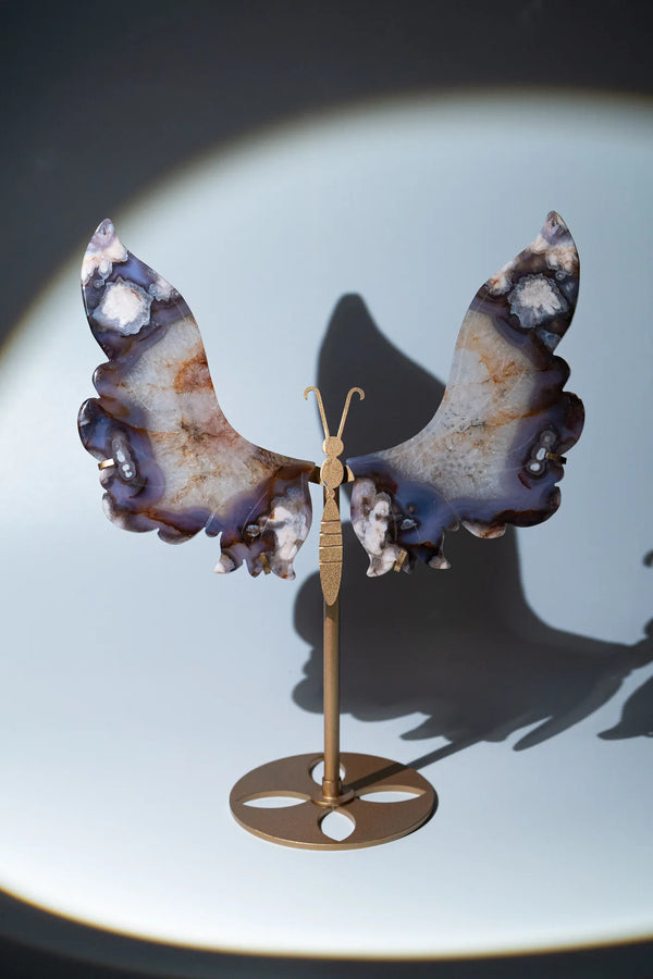 Cherry Blossom Schmetterling