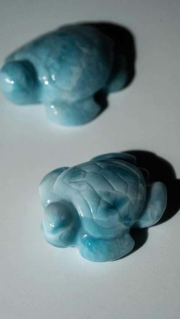 Larimar Schildkröten (3 von 10)