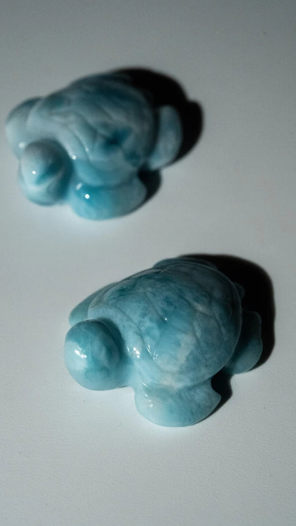 Larimar Schildkröten (4 von 10)