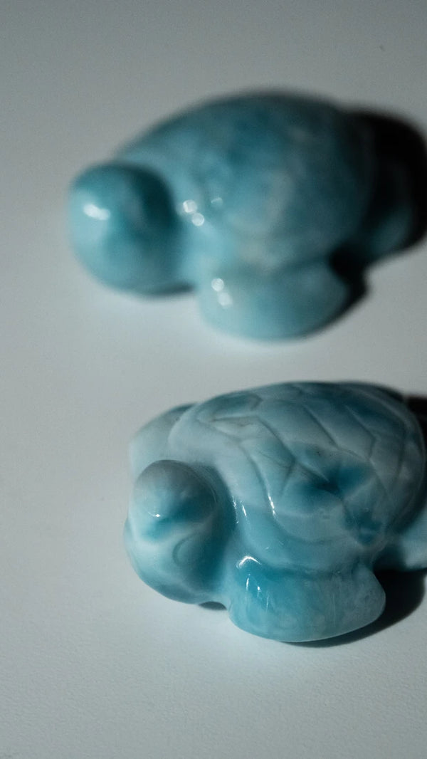 Larimar Schildkröten (5 von 10)