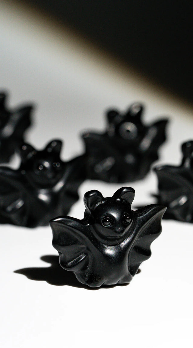 Obsidian Fledermaus – Nahaufnahme