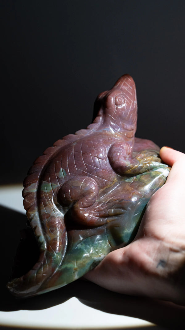 Ozean Jaspis Echse in der Hand