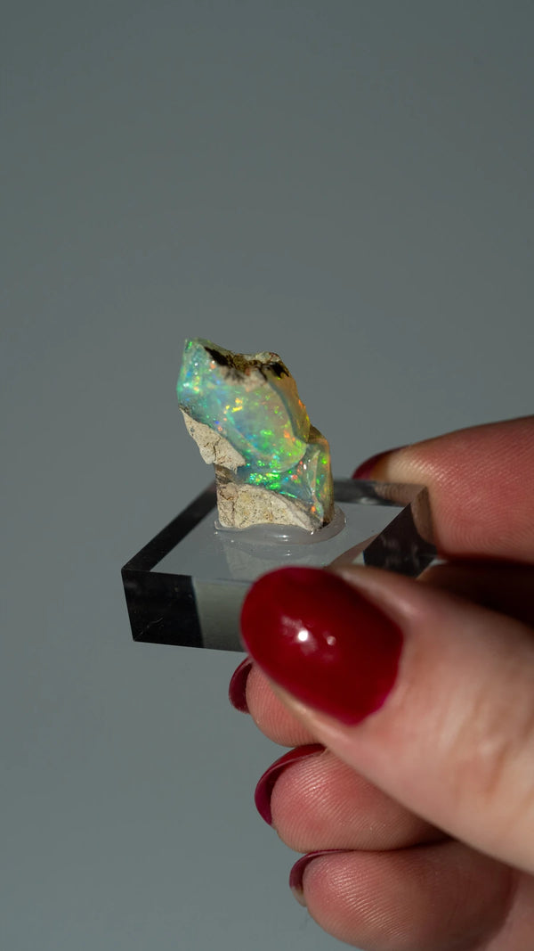 Opal Nr. 87 (4)