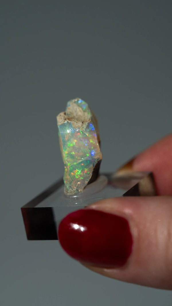 Opal Nr. 87 (5)