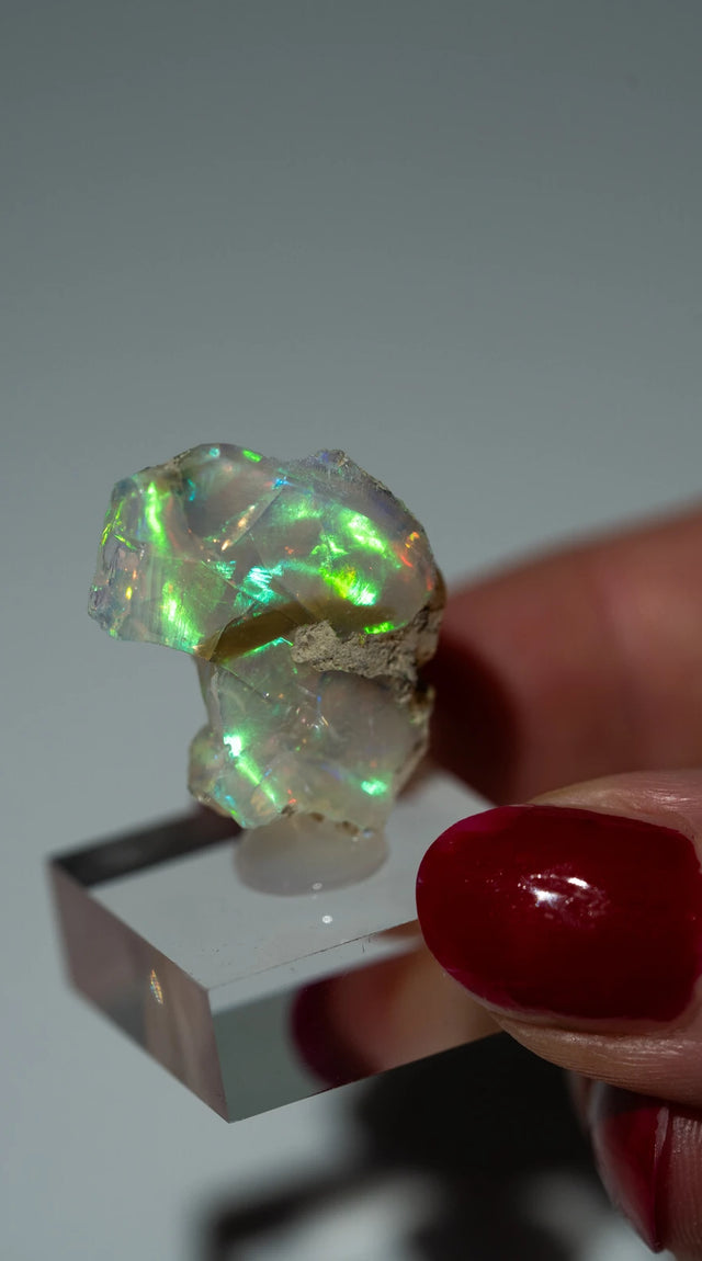 Opal Nr. 87 (6)