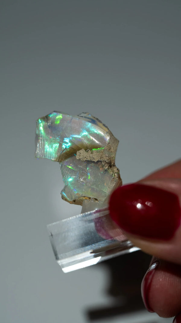 Opal Nr. 87 (7)