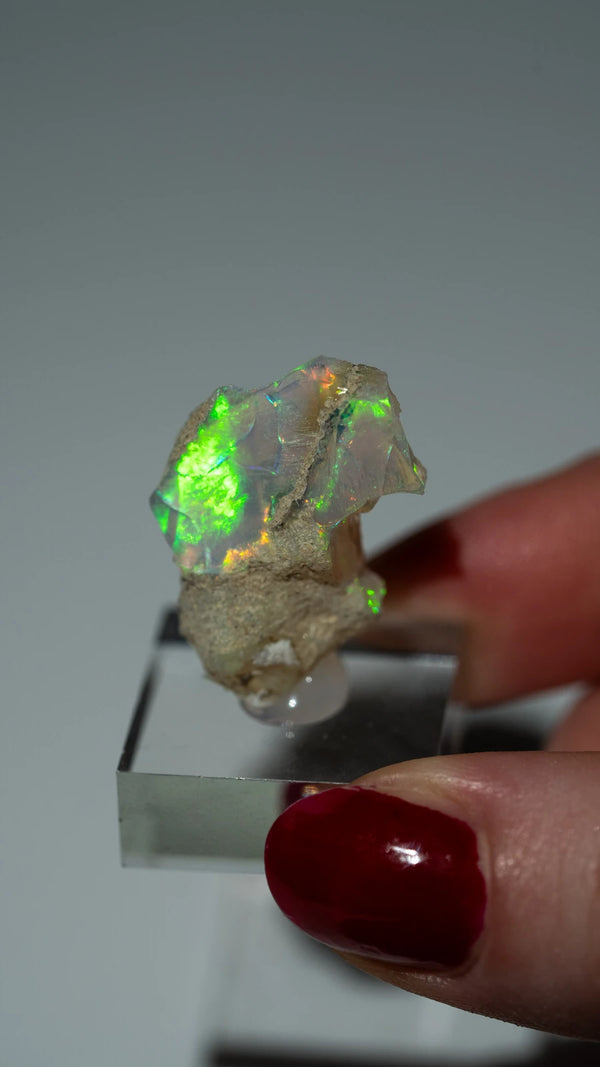 Opal Nr. 88 (1)