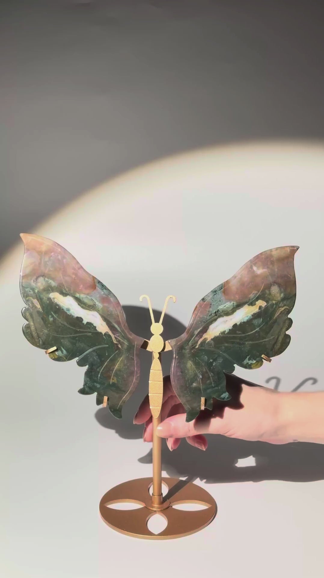 Ocean Jasper Schmetterling | STATEMENT