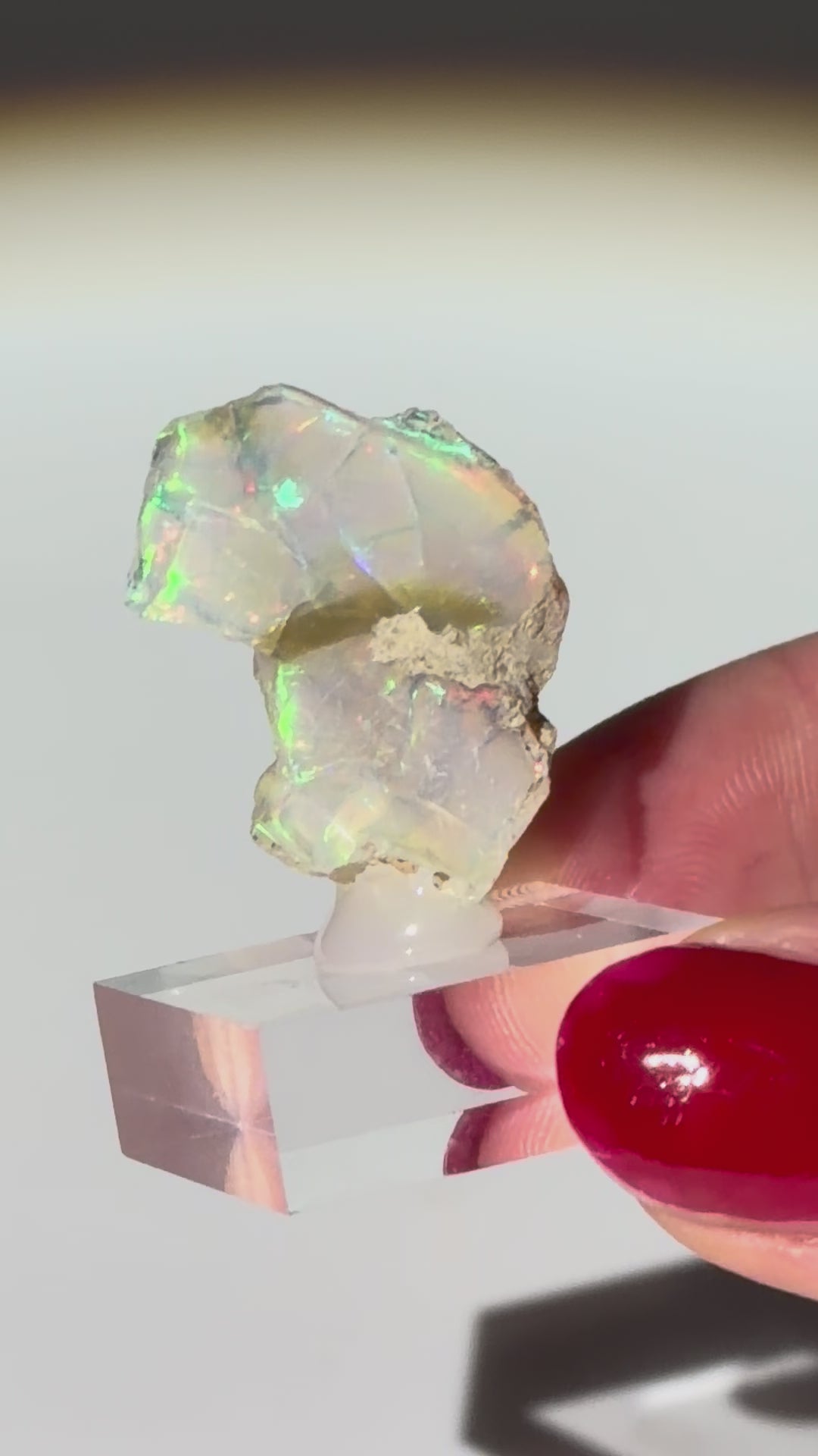 Aethiopischer Opal 25mm Video
