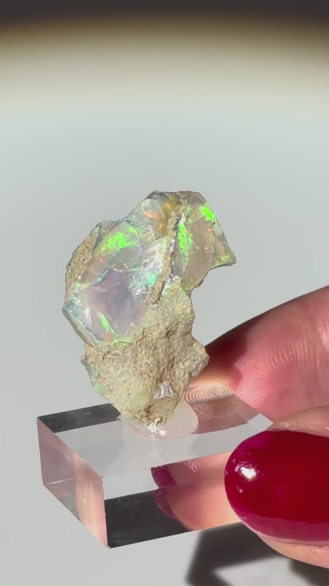 Aethiopischer Opal 25mm Video hinten