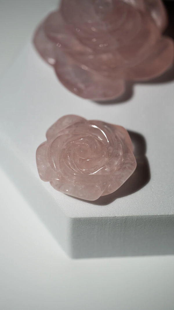 Rosenquarz Rosen (1 von 6)