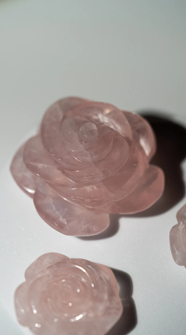 Rosenquarz Rosen (2 von 6)