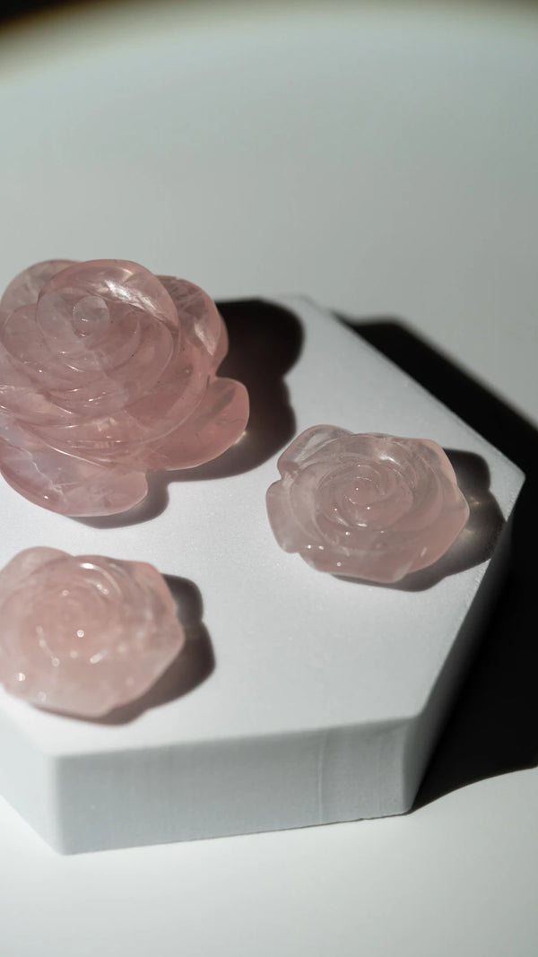 Rosenquarz Rosen (3 von 6)