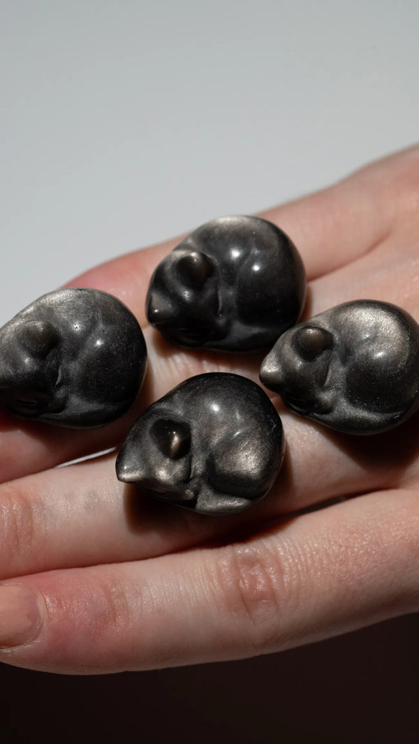 Silberglanzobsidian Kätzchen