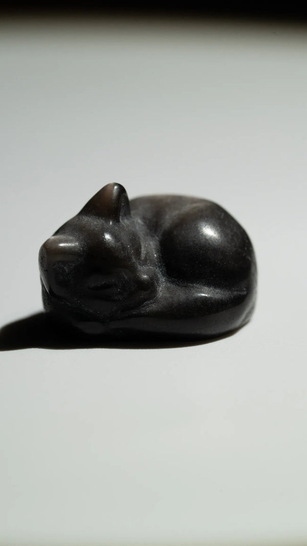 Silberglanzobsidian Kätzchen